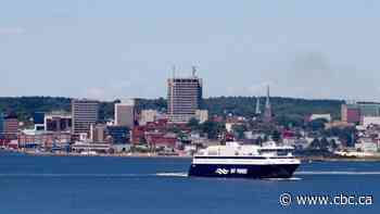 Fundy Rose crossings to resume Monday after issue at Saint John terminal