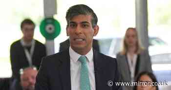 Rishi Sunak warns UK faces 'some of the most dangerous years yet' in desperate pitch to voters