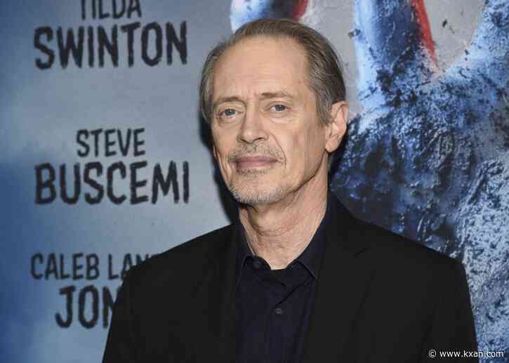 Actor Steve Buscemi punched in the face in random New York City attack: publicist