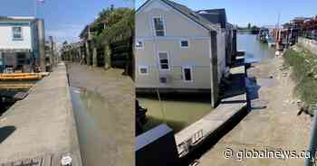 Float home owners feel left out to dry as houses run aground in Fraser River