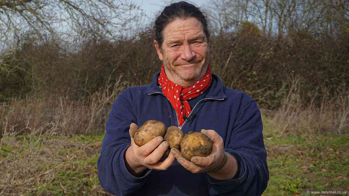 Rats ate my barley, badgers squashed my wheat, and I had so many fried eggs I thought I'd have a heart attack! Man who spent a year living off his smallholding tells JANE FRYER he got so hungry he talked to his radishes