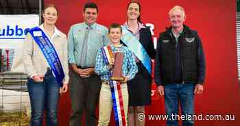 Jeffrey Sutton's State Sheep Show junior judging and handling clean sweep