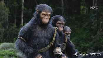 Der neue «Planet of the Apes»-Film zeigt ein Dschungelidyll, das selbst Robert Habeck ein bisschen zu süsslich wäre