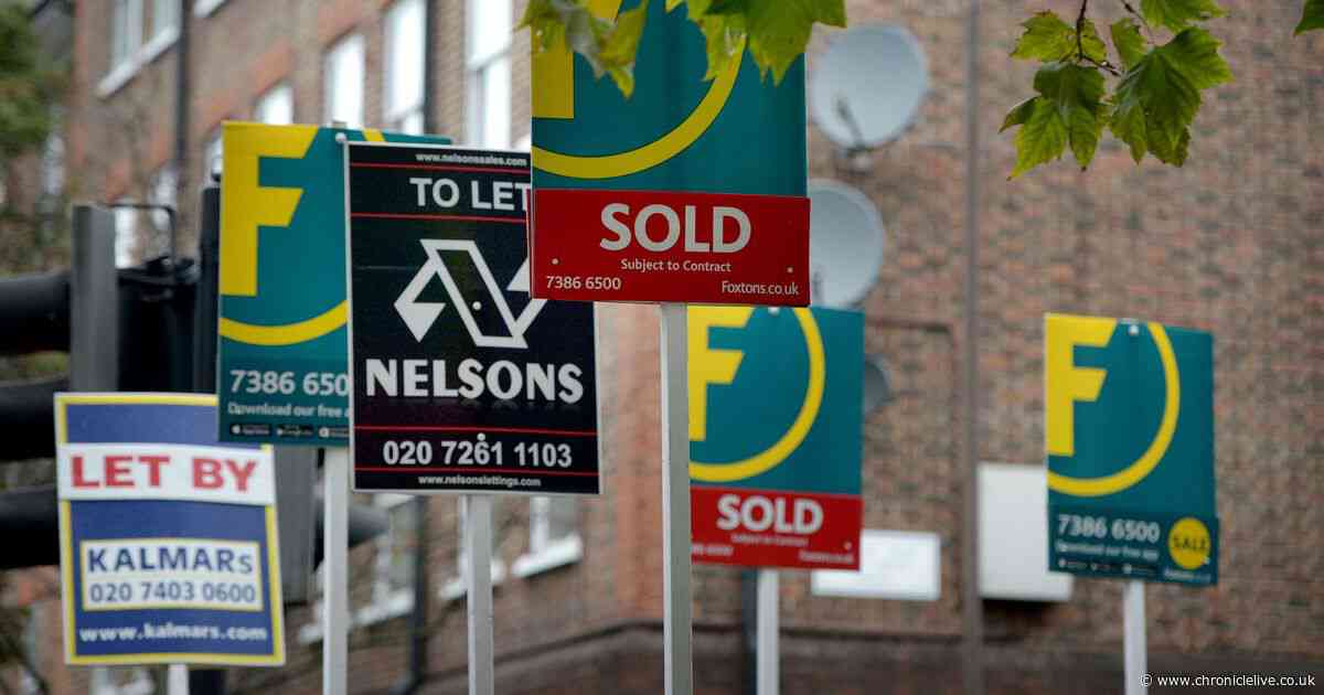 Property experts issue warning to renters over simple mistake that could get you evicted