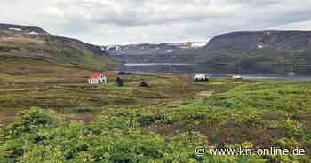 Urlaub in Island: Bei den Polarfüchsen auf Hornstrandir