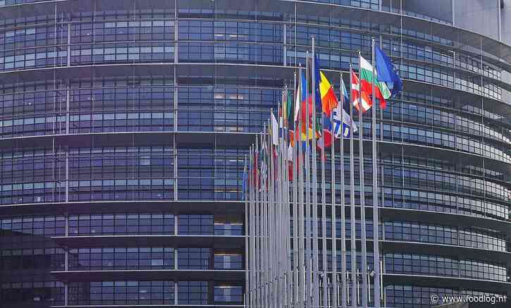Angst voor BBB-effect regisseert verkiezingen Europees Parlement