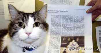'Mystic' cat adopted by care home eerily predicted 'more than 100 residents' deaths'