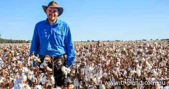 Ground work pays off for Yanco cotton grower
