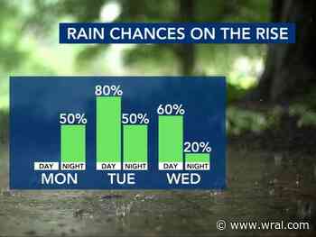 Grab your umbrella: Week of rain and storms in the forecast