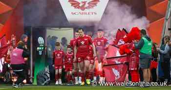 Scarlets forced to issue appeal after fans on pitch take important items