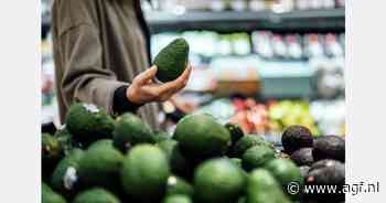 Guinness Wereldrecord voor grootste avocado-uitstalling in supermarkt Dallas