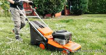 Gardening whizz divides fans with simple hack to avoid mowing a bumpy lawn
