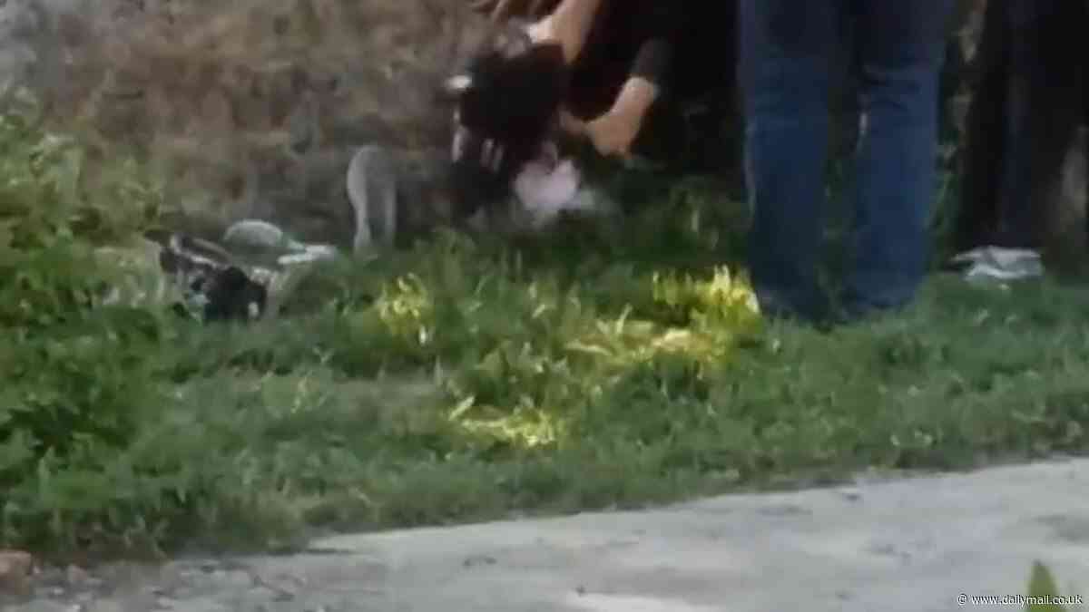 Shocking moment female 'morality police' officer attacks screaming teenager and forces her to the ground for refusing to cover her hair - before crowd 'saves her' in Iran