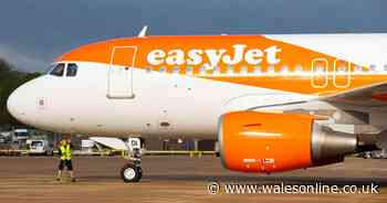 Chaos as 30 drunken yobs are booted off easyJet flight to Malaga after rowing with flight attendants