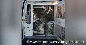 The huge bundles of cannabis bagged up and seized after 'safety concerns' call