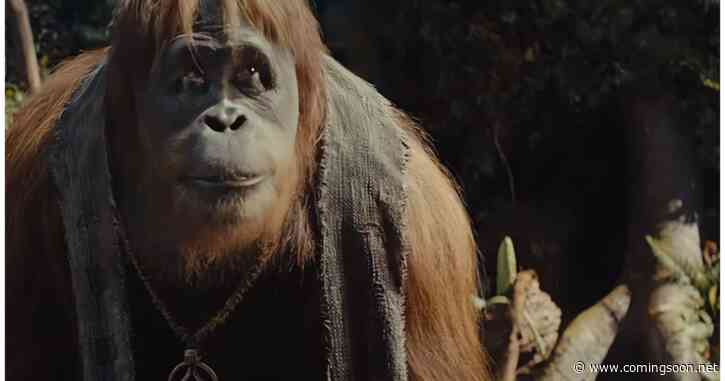 Kingdom of the Planet of the Apes: What Happened to Raka?
