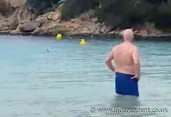 Brits terrified after shark circles family at popular holiday spot