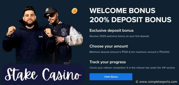 Stake Casino Review 2024