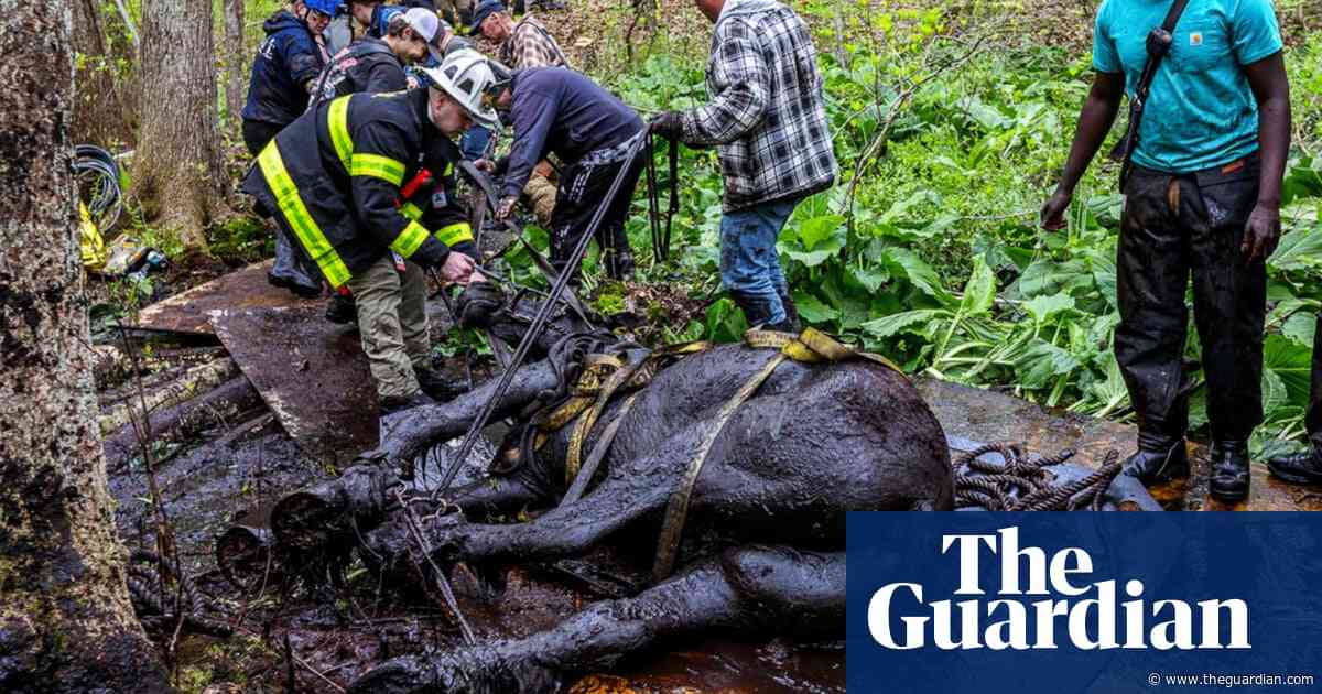 Connecticut horses ‘happily eating hay’ after rescuers built bridge to save them from mud