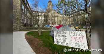 Pro-Palestinian encampment set up at Halifax’s Dalhousie University