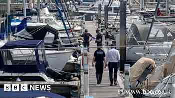 Woman dies after being pulled from harbour