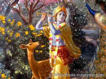 Why was Shri Krishna killed by a hunter?