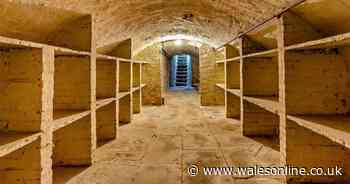 Imagine living in luxury at a Welsh beauty spot with this epic wine cellar