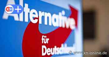 Verfassungsschutz: AfD in Niedersachsen bleibt als Verdachtsfall unter Beobachtung