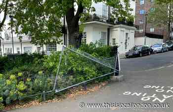 Primrose Hill permanent gates work to last 'several months'