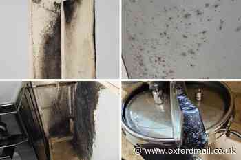 Oxford council house mould causes single mum's sickness