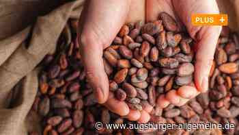 Kakaobohnen und Rüstung: Viele Faktoren beeinflussen Wirtschaft im Kreis Neu-Ulm