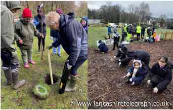 Volunteers plant trees in Blackburn parks to fight climate change