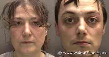 Mother and son jailed after 'savage attack' by XL bully on boy, 8,