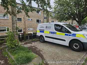 Colchester murder probe sees two arrested after baby death