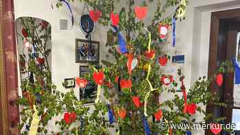 Blaue Blume Mindelheim stellt wieder eigenen Maibaum auf