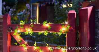 Very's 'bright and cheerful' £10 ivy garden lights that 'last for ages'
