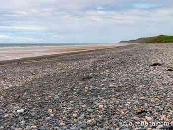 Seaside visitors to Cumbria, England could be fined for taking pebbles