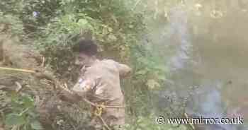 Horrific moment boy's lifeless body is hauled up muddy bank after mum threw him to crocodiles