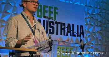 Why regrowth and woody weeds are vital to the future of Qld beef