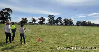 Drones, a big help to improving paddocks