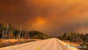 Wildfire that forced evacuation of Cranberry Portage could take weeks to put out: wildfire director
