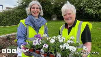 Floral displays scaled back after council cuts