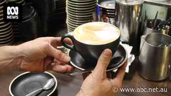 Cafes feel the pinch as cash-strapped coffee drinkers look to instant alternatives