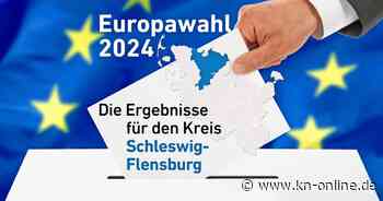 Ergebnisse Europawahl 2024 Schleswig-Flensburg: Welche Partei holt wie viele Stimmen?