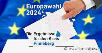 Ergebnisse Europawahl 2024 Kreis Pinneberg: Welche Partei holt wie viele Stimmen?