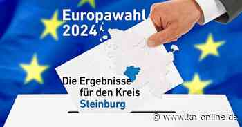 Ergebnisse Europawahl 2024 Steinburg: Welche Partei holt wie viele Stimmen?