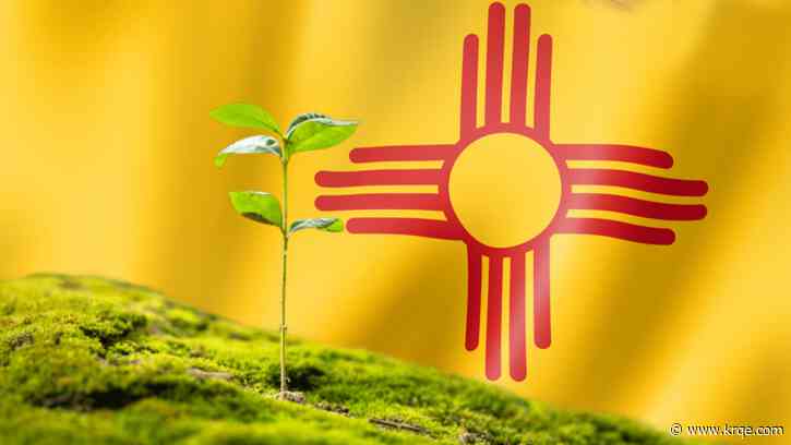 New Mexico's Environment Department addressed over 1,000 civil enforcement issues last year