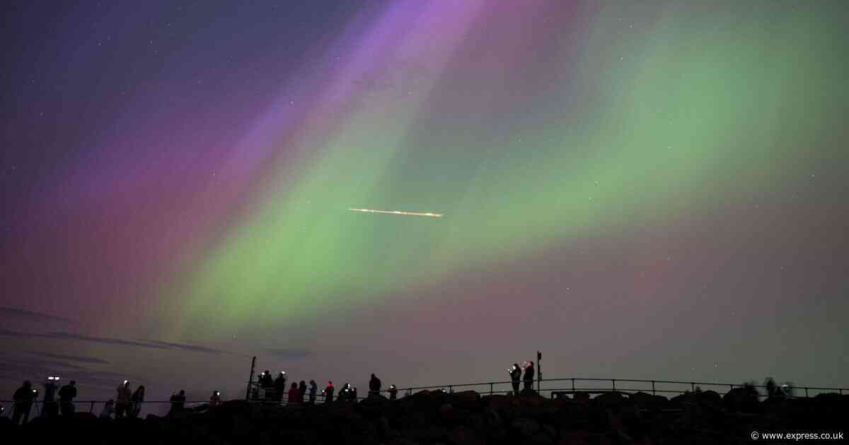 How to see the Northern Lights as expert reveals exact time they will appear