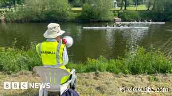 Town stages rowing regatta in 'perfect' weather