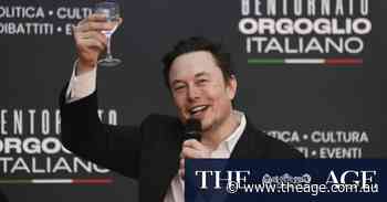 Elon Musk’s Aussie chair battles shareholders over Tesla boss’ billions